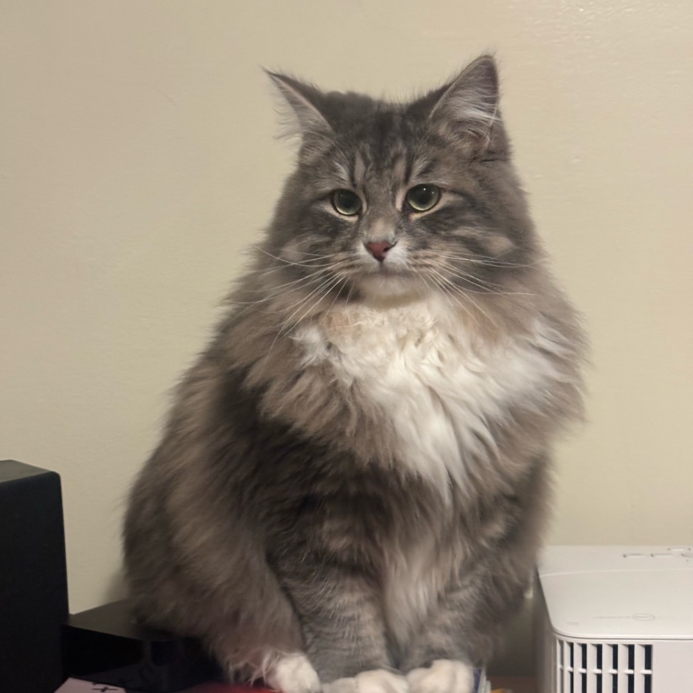 Meet your Posher, Majka